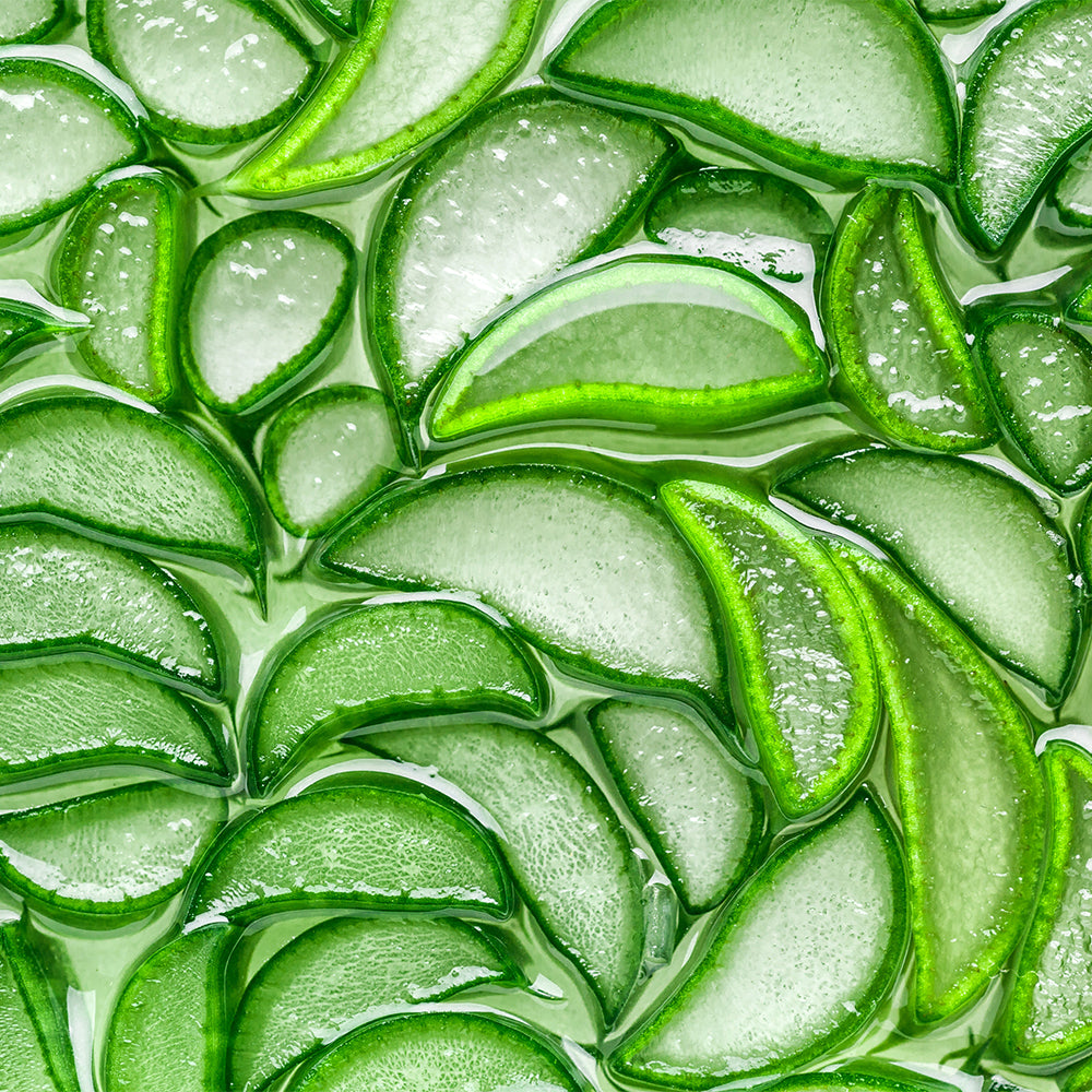 close up of sliced aloe