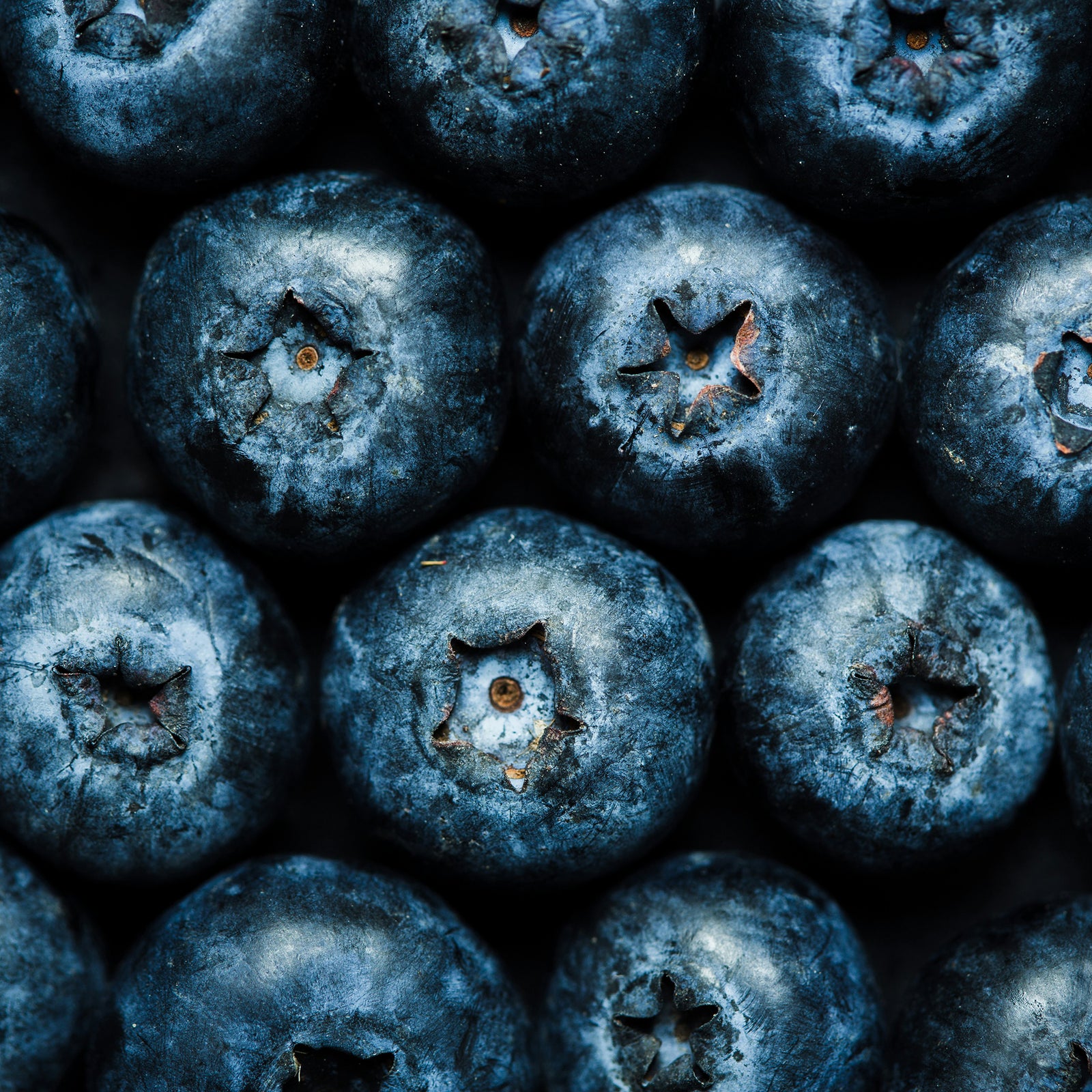 close up of blueberries