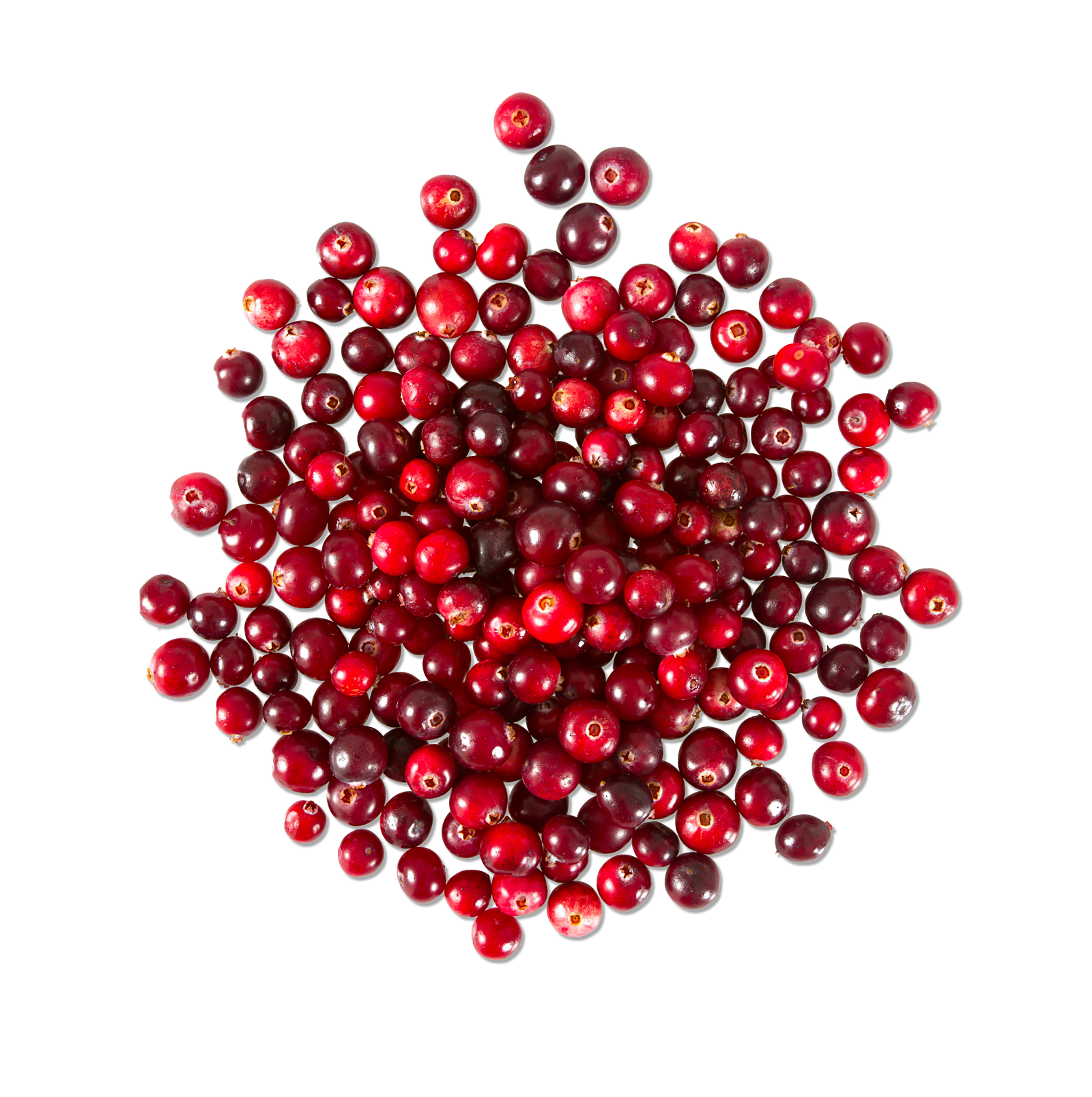 cranberries on a white background