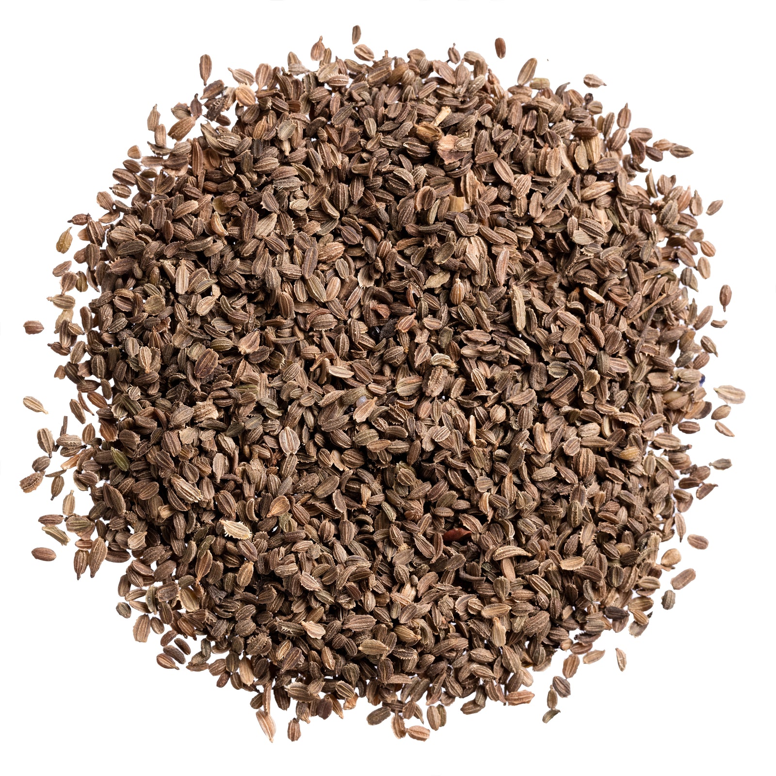 carrot seeds on a white background